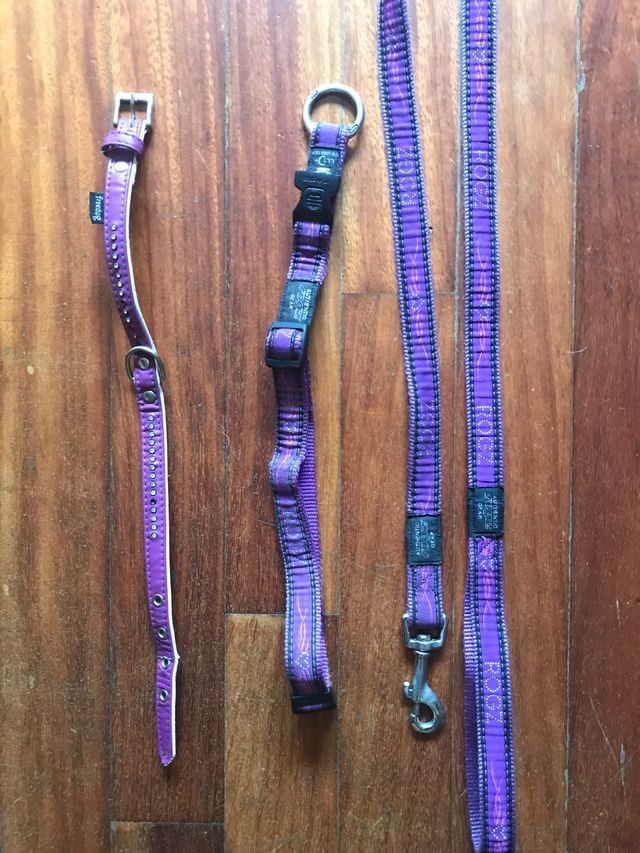 2 collares + correa
