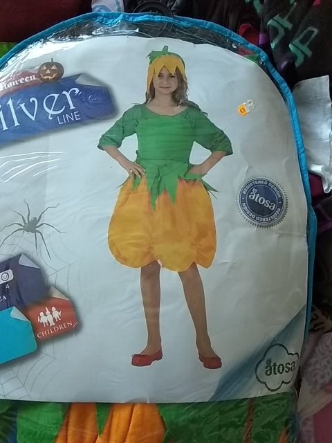 disfraz de calabaza
