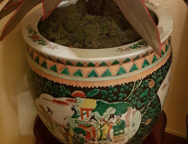 MACETERO PORCELANA CHINA CON PLANTA