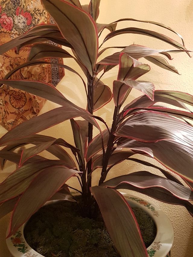 MACETERO PORCELANA CHINA CON PLANTA