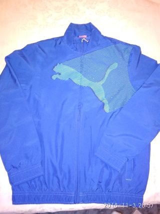 puma niño 12 años puma niño 12 años