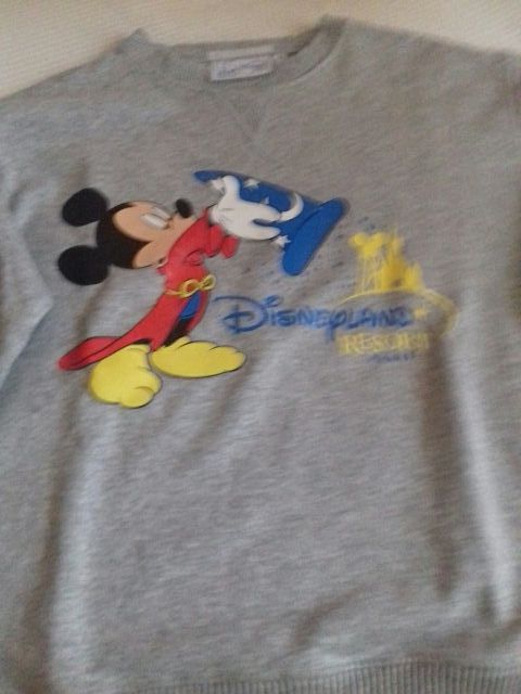 Sudadera Disneyland Paris. Talla 8