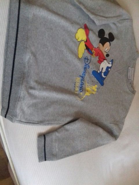 Sudadera Disneyland Paris. Talla 8