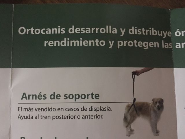 Arnés perro parte trasera y delantera