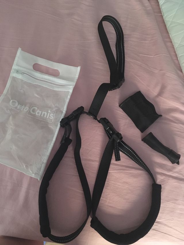 Arnés perro parte trasera y delantera