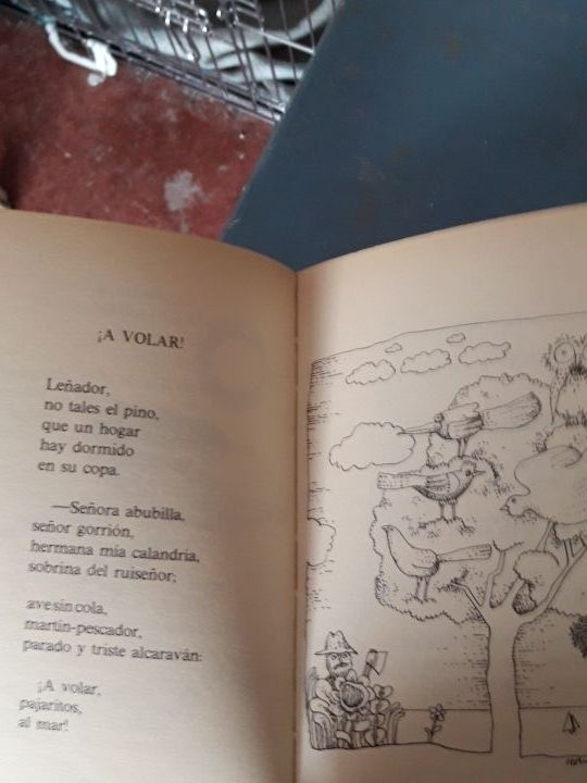 aire que me lleva el aire