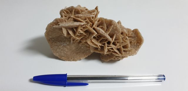 Rosa del desierto de Túnez