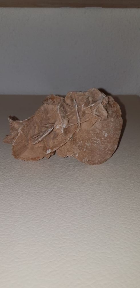 Rosa del desierto de Túnez