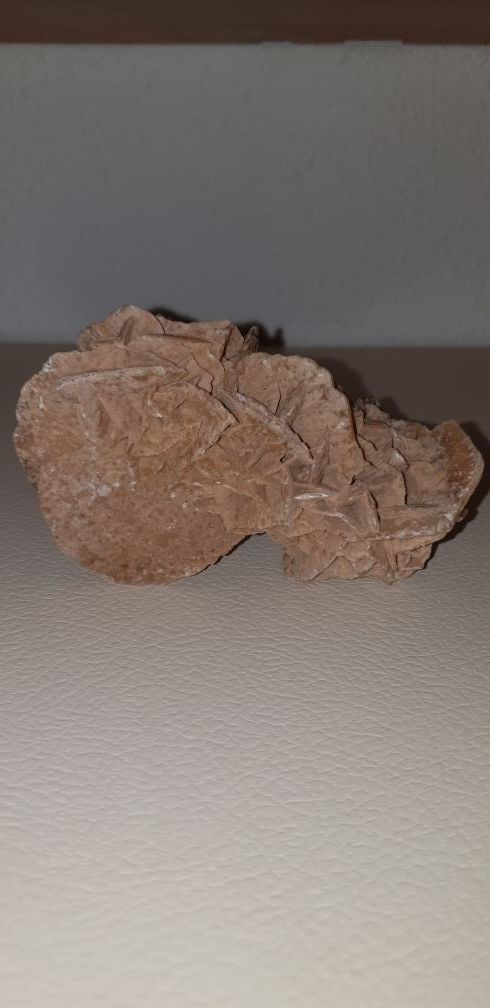 Rosa del desierto de Túnez