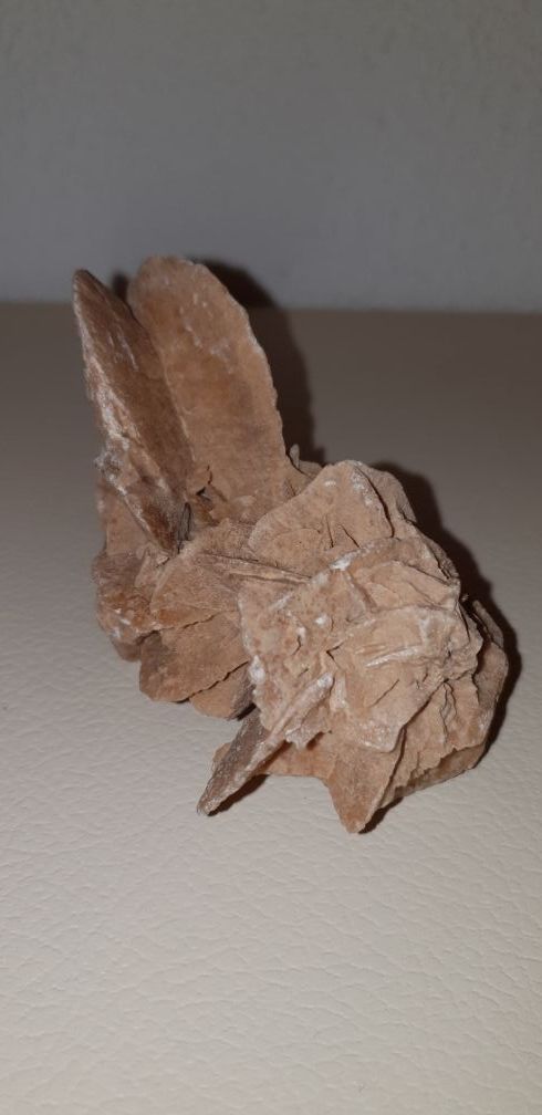 Rosa del desierto de Túnez