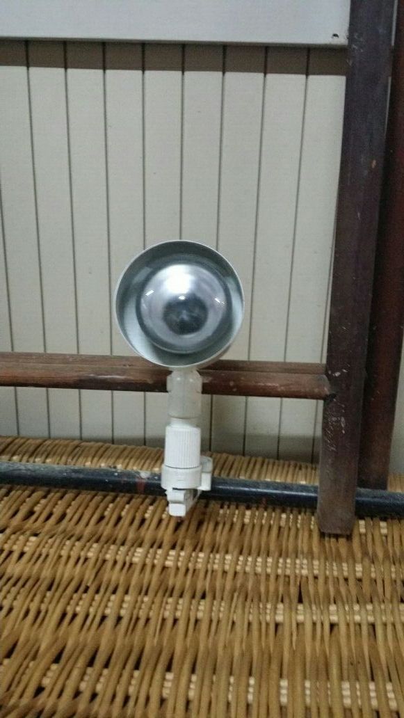 Lote de 20 Focos iluminación