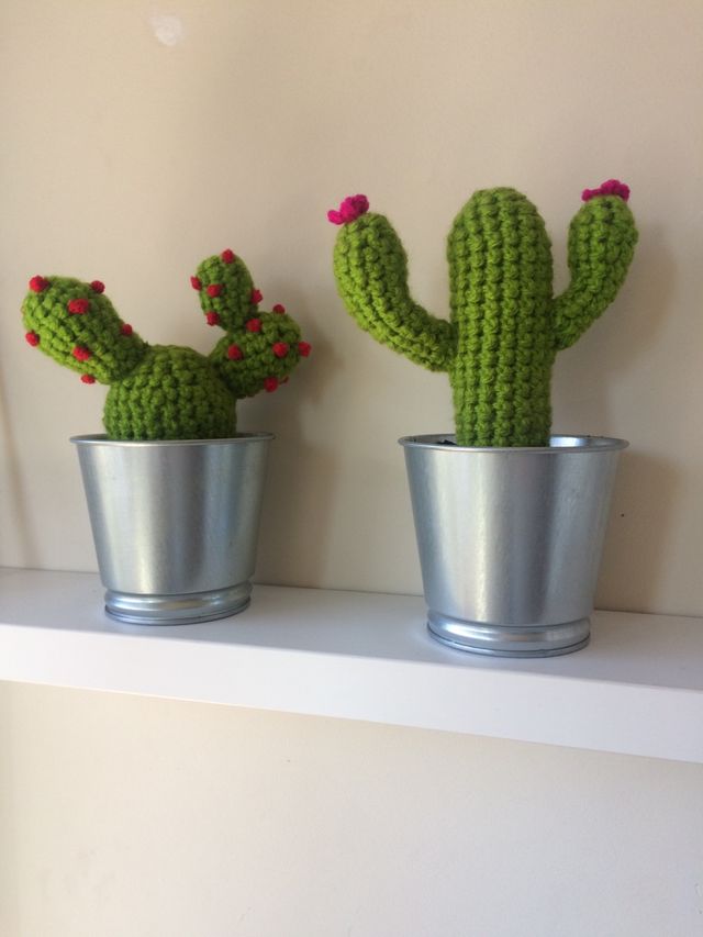 Cactus ganchillo. También encargos.