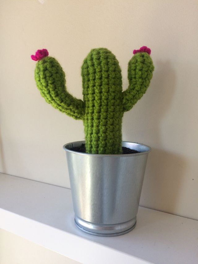 Cactus ganchillo. También encargos.