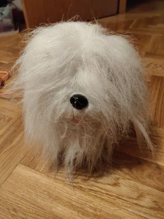 perrito andarin