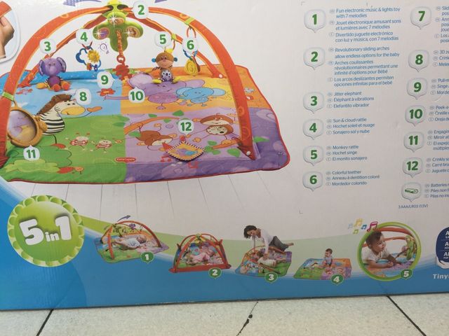 Tiny loves gym animals