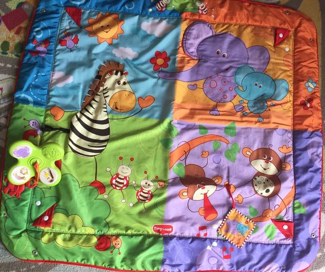 Tiny loves gym animals