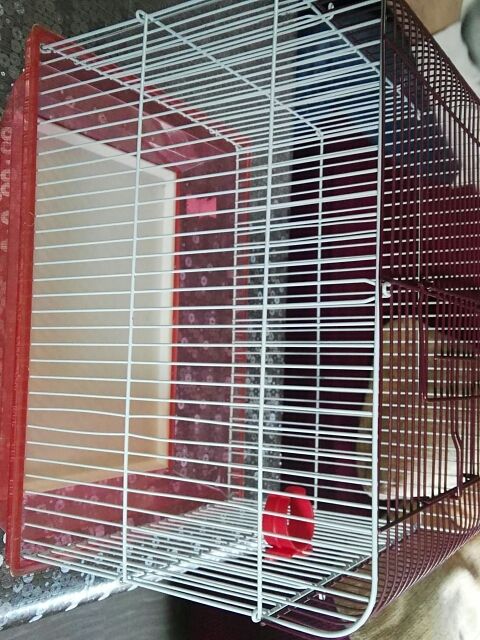 jaula para pájaro o hamster