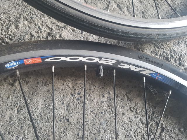 Ruedas rigida zac 2000