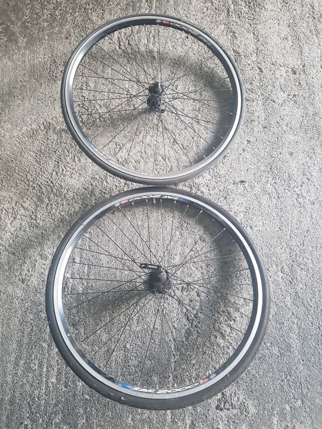 Ruedas rigida zac 2000