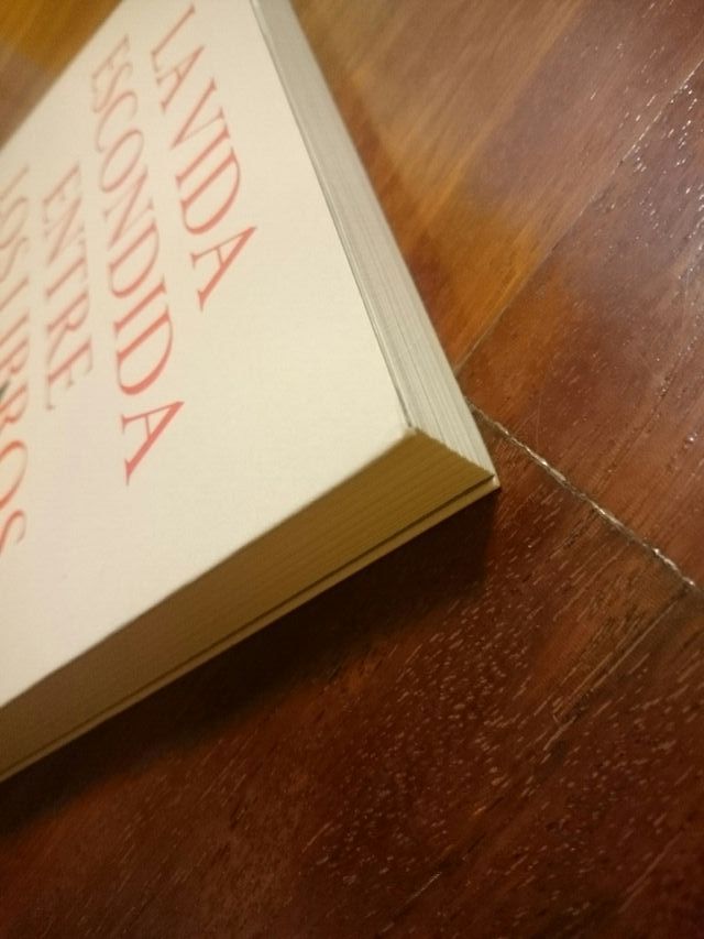 La vida escondida entre los libros.