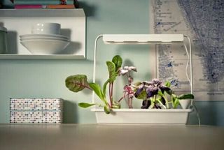 segunda huerto Ikea LED de plantas urbano lámparas cultivo 345RqjAcLS