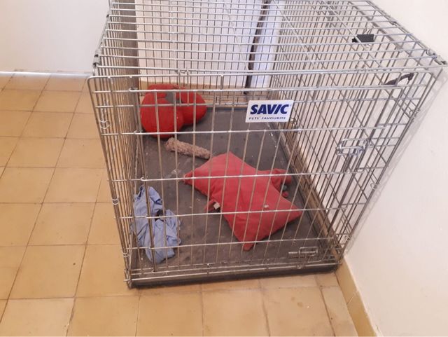 Transportin/jaula savic  perro grande.