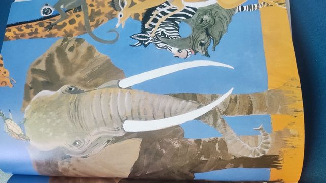 Un tirón de la cola