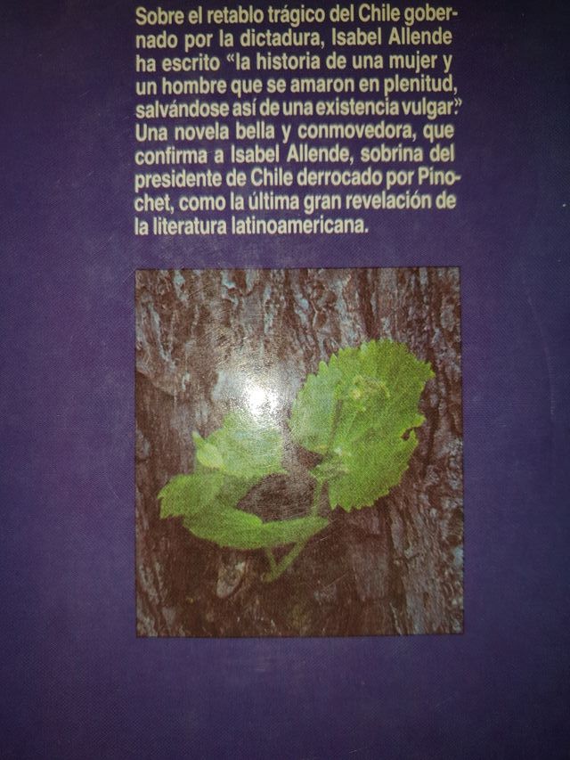 Isabel Allende De amor y de Sombra