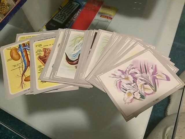 Cromos colección Vida y Color