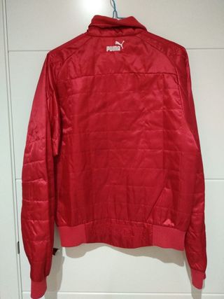 cazadora puma ferrari cazadora puma ferrari