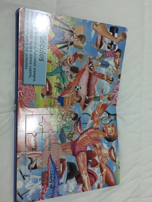 Libro El cuerpo Humano 8puzzles