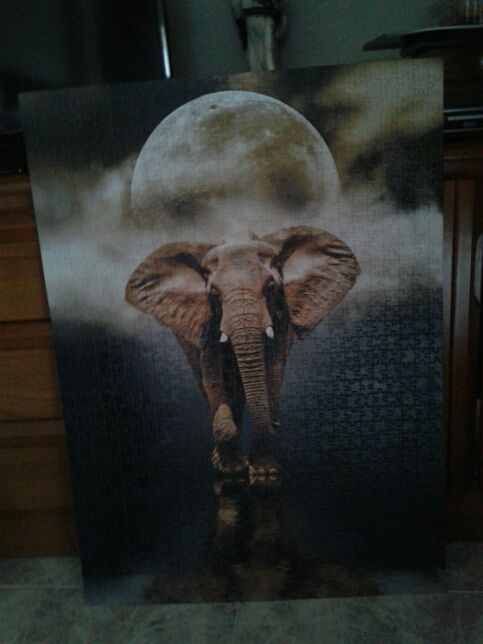 PUZZLES VARIOS MODELOS