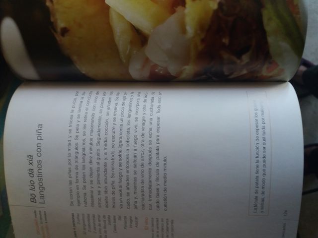 Libro de comida China