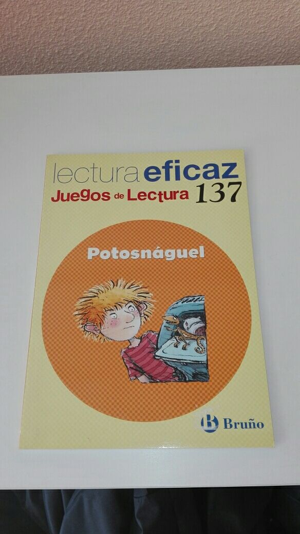 Lectura eficaz Bruño