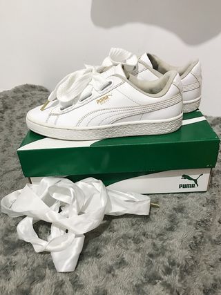 puma de lazo