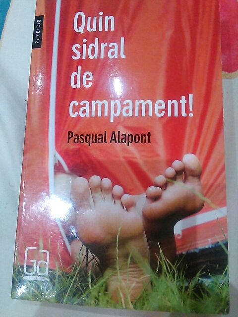 Quin sidral de campament!