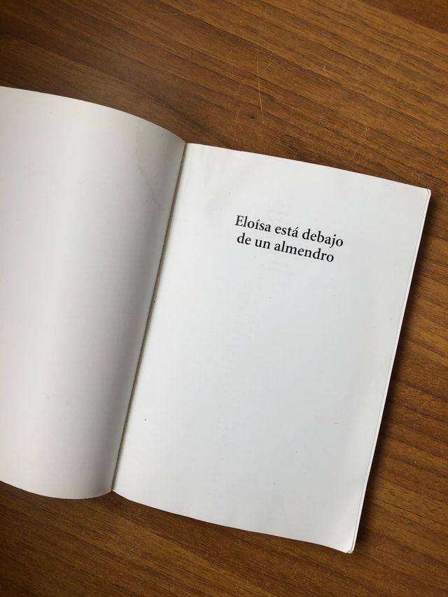 Obra de teatro Eloísa está debajo de un almendro