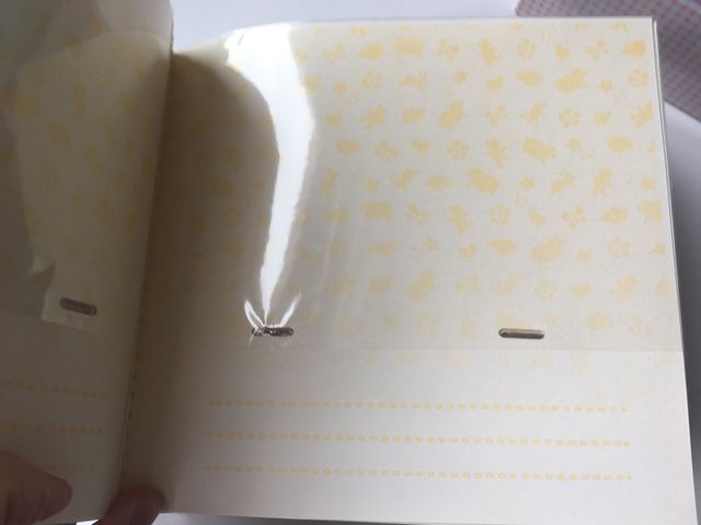 Álbum celeste y plata. Sin estrenar