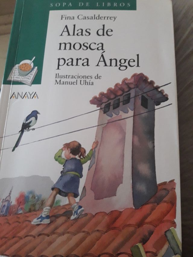 ALAS DE MOSCA PARA ÁNGEL