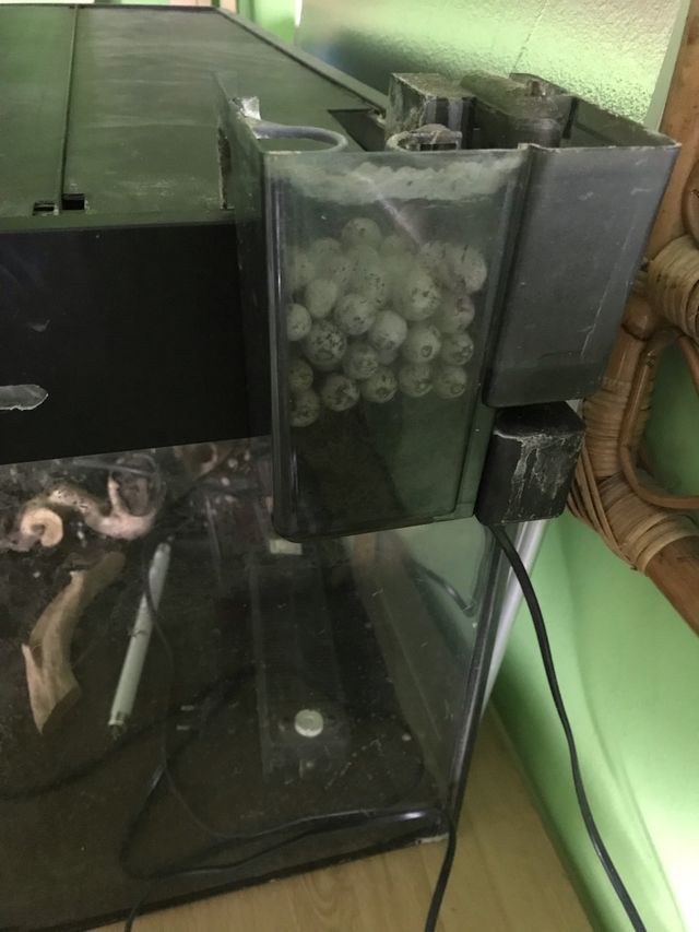 Expositores para tienda