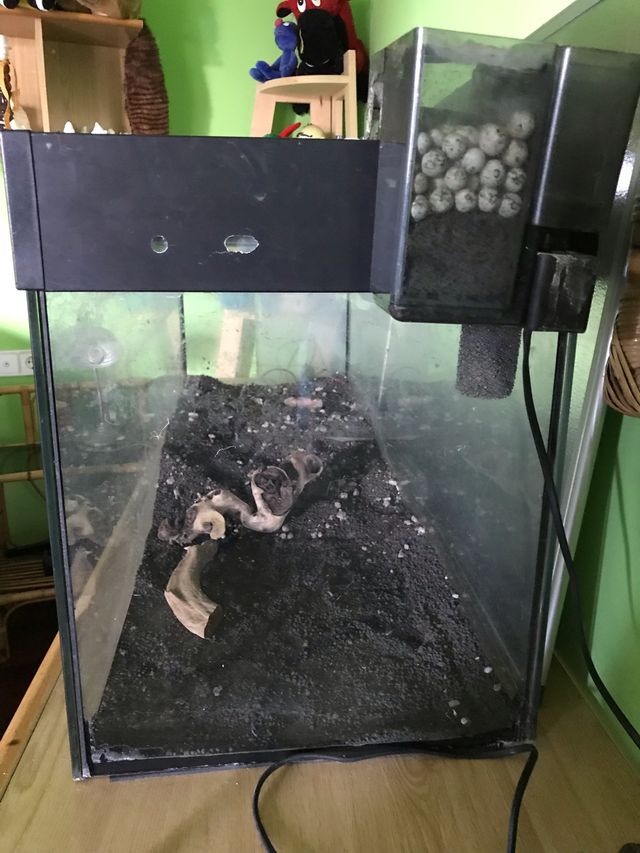 Expositores para tienda