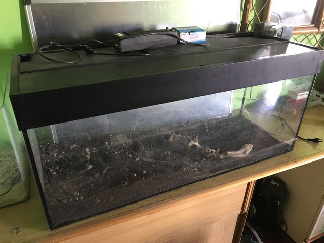 Expositores para tienda