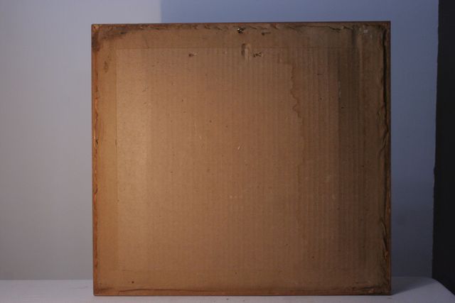 Cuadro Tapiz faisan enmarcado 45x45