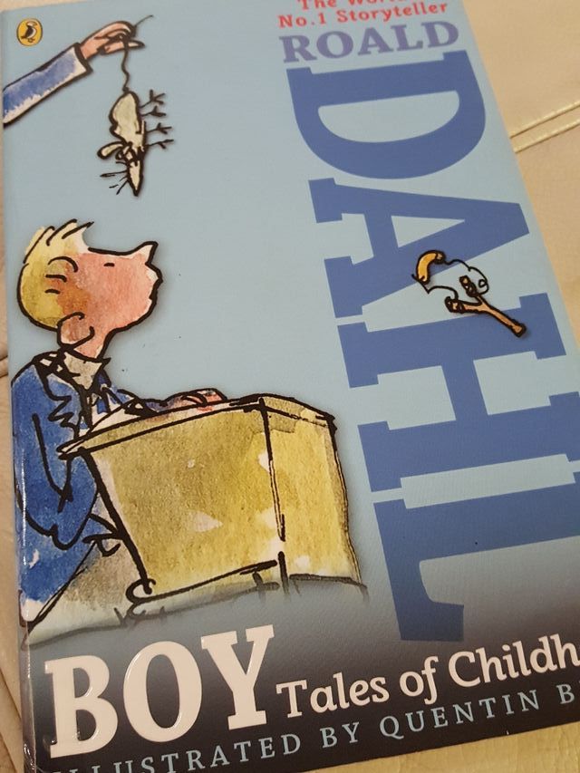 Libro BOY Tales of Childhood