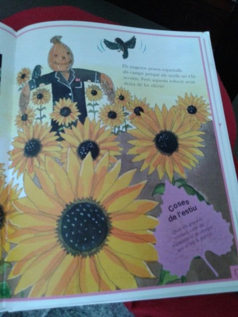 Libro infantil "Estacions de l'any" tapa dura