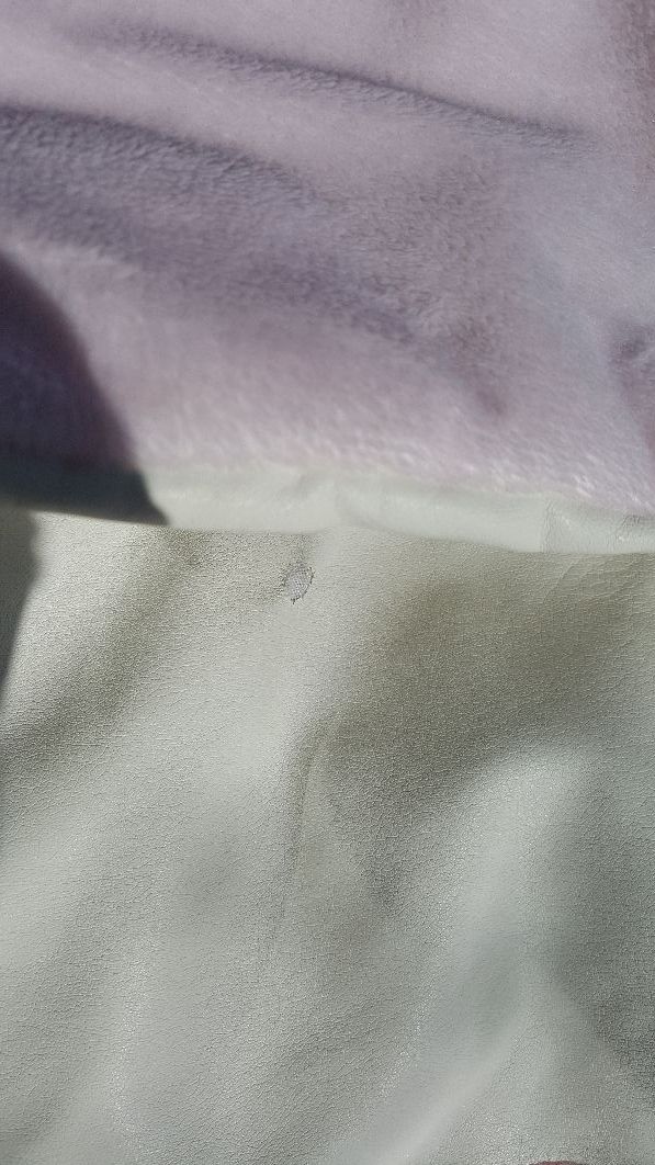 saco silla  invierno niña