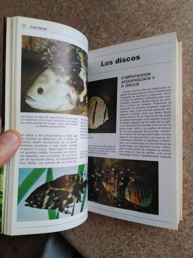Crianza de los peces de acuario