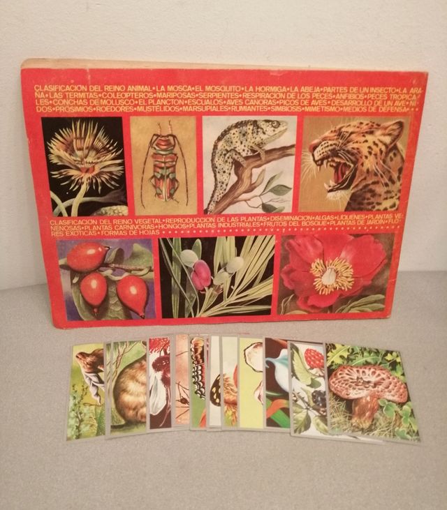 Zoología y botanica