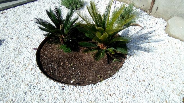 Aros hierro de segunda mano por 10 € en Martorelles en WALLAPOP