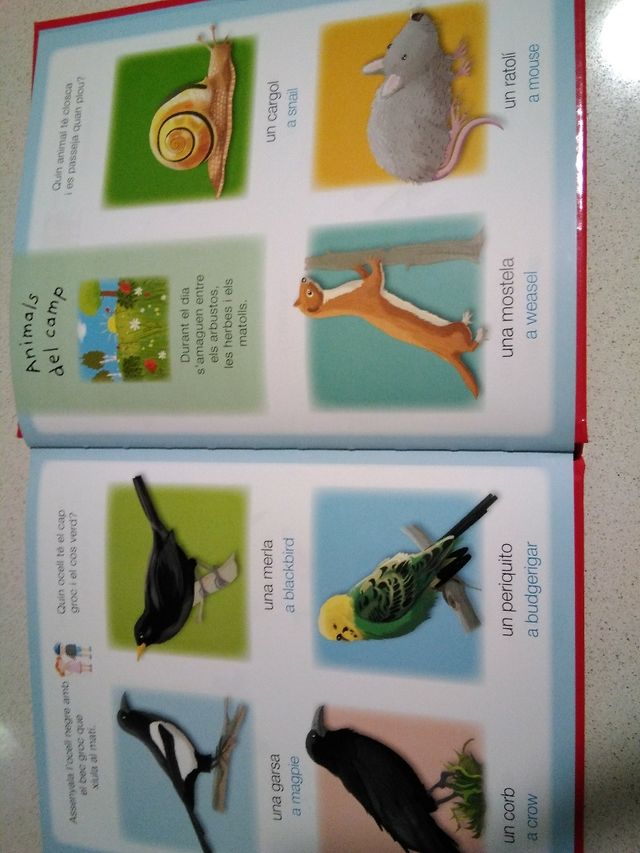 Libro infantil Diccionari en imatges